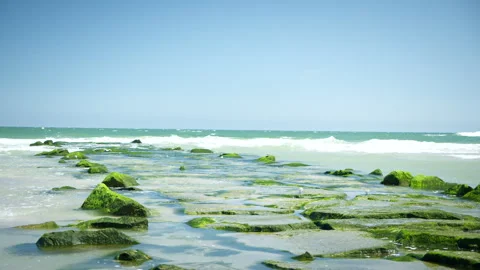 Waves Hit Patch of Bright Green Mossy Stones on Beach Stock Footage 273789745