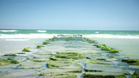 Waves Hit Patch of Vibrant Green Rocks at Beach Stock Footage 273789833