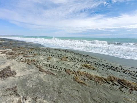 Waves hit the sand along a beach where tire tracks and seaweed are visible. T Stock Photos