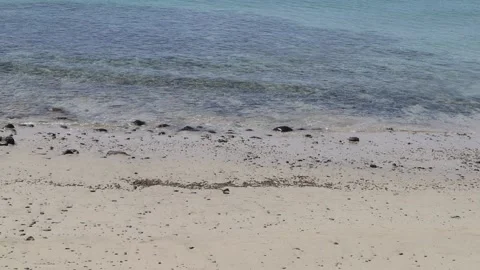 Waves hitting Beach Stockbeeldmateriaal 163177203