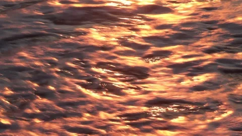 Waves Hitting Beach at Sunset Stock Footage 93016698
