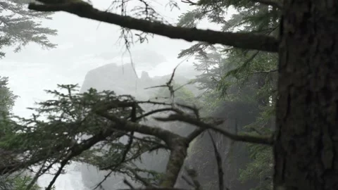 Waves Hitting Beach Through the Fog and Trees Vídeo Stock 164931747