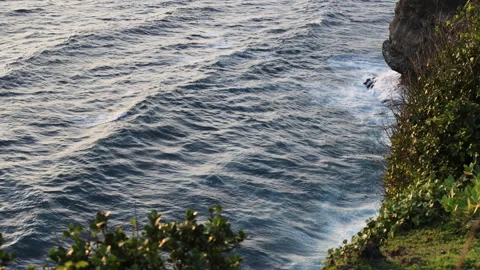 Waves hitting the green shore. Stock Footage 274774185