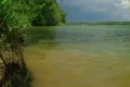 Waves Hitting Lake Shore Footage