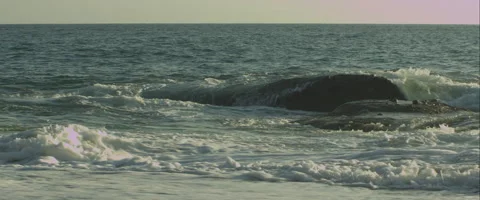 Waves hitting a rock, anamorphic Stock Footage 46032699