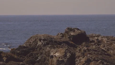 Waves hitting the rock by the coast of Pacific Ocean Stock-Footage 98735002