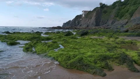 Waves hitting the rocks on the beach Stock Footage 131837892