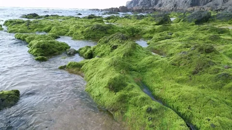 Waves hitting the rocks on the beach Stock Footage 131837945