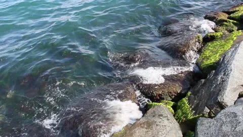 Waves hitting rocks on the Black sea coast Stock Footage 135232921