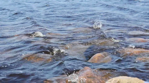 Waves hitting the rocks Stock Footage