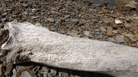 Waves hitting rocky pebble shore on bright sunny day Stock-Footage 130073585