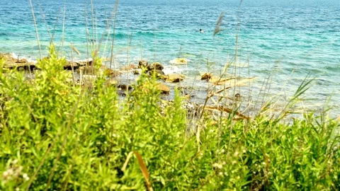 Waves hitting the seashore among greenery 動画素材 127243876