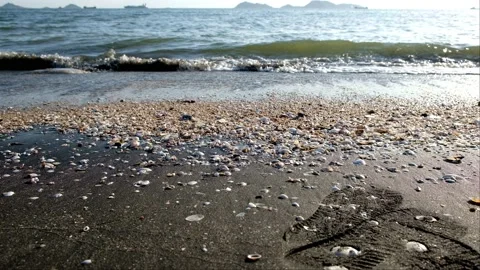 Waves hitting on the shells on the beach in summer time Stock Footage 130796841