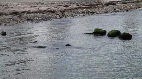 Waves Hitting the Shore on a Calm Day Stock Footage 42869885