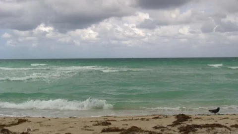 Waves hitting shore on a cloudy day Vidéo 92549892