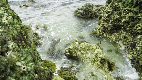 Waves hitting shore in Deception Pass Bridge State Park Washington Stock Footage 73527173
