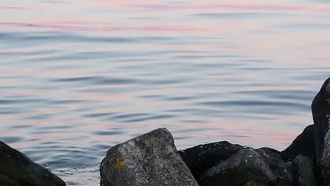 Waves hitting the shore 動画素材 75687801