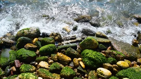 Waves hitting stone beach in summer Stock Footage 80295642