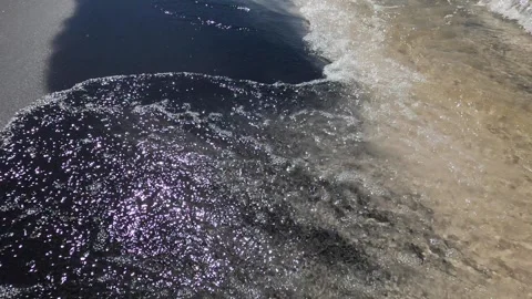 Waves of Indian Ocean gently caress black sand beach, Madagascar Video stock 310534552