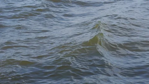 Waves on the lake for background Stock Footage 252709067
