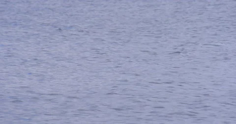 Waves on lake in cloudy gray day / Focus pull Stock Footage 131018623