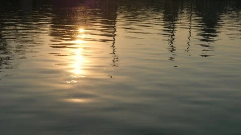 Waves of a lake during sunset Stock Footage 115257596