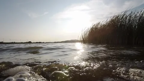 Waves on the lake during sunset Stock Footage 162517088