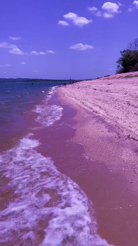 Waves on a lake during the windy summer season. Stock Footage 246985082