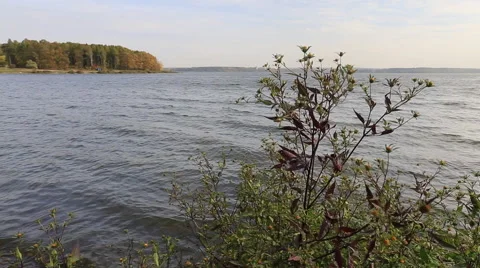 Waves on the Lake 스톡 동영상 41884318