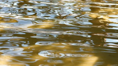 Waves on the lake Stock Footage 51966002