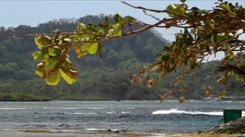 Waves on a lake Video stock 52816414