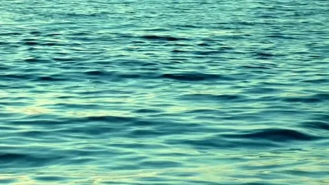 Waves on a lake Video stock 72431149