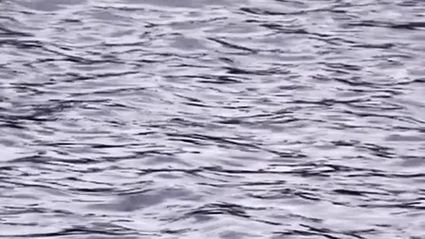 Waves on the lake Stock Footage 84967680