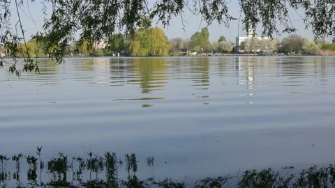 The waves of the lake Stock Footage 194040400