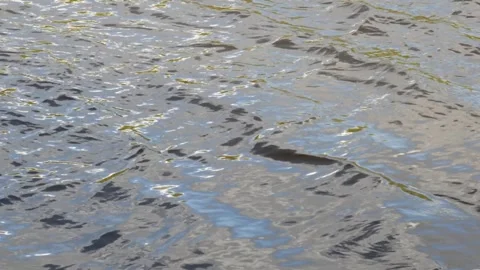 Waves on the lake Stock Footage 314584541