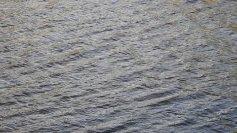 Waves on the lake Stock Footage 314584576