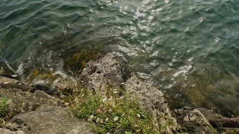 Waves of the lake on the stones Stock Footage 263851933
