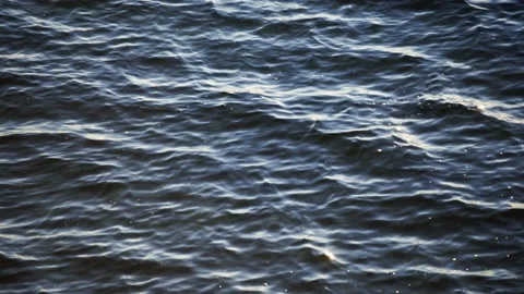The waves of the lake sway in the wind. Small white air bubbles formed on the Stock Footage 167048849