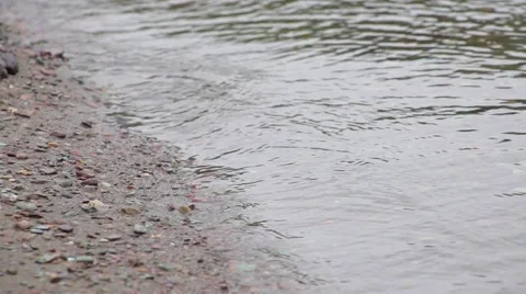 Waves of Lake Teletskoye 스톡 동영상 50871769