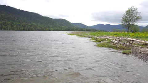 Waves of Lake Teletskoye Stock Footage 50873186