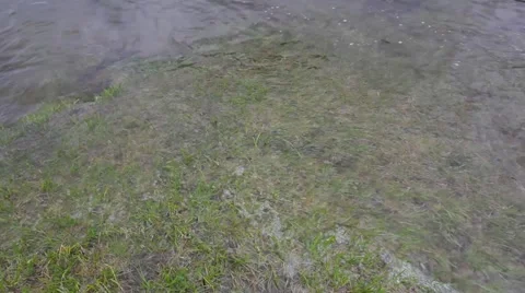 Waves of Lake Teletskoye Stock Footage 50873388