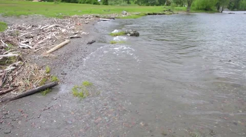 Waves of Lake Teletskoye Stock Footage 50873506