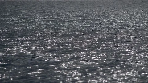 Waves on lake traunsee Stock Footage 150093647