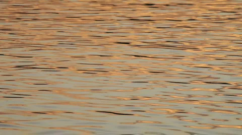 Waves of lake water Stock Footage 528182