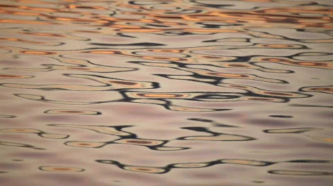 Waves of lake water Stock Footage 532201