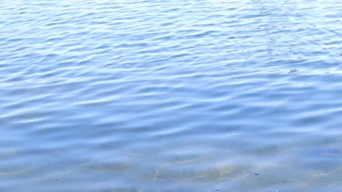 Waves on Lake Water Surface Stock Footage 233888266