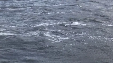 Waves on lake in wind Stock Footage 80025107