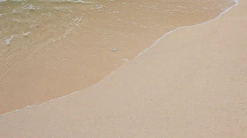 Waves landing on sandy beach Video stock 86671319