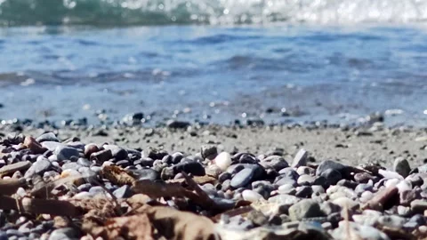 Waves Lap Against the Shore as Pebbles and Leaves Create a Tranquil Beach Stock Footage 306592913
