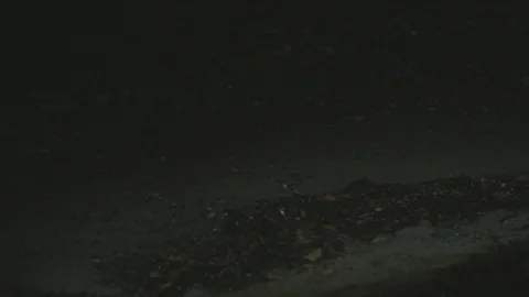 Waves lap on a beach at night Stock Footage 127120069